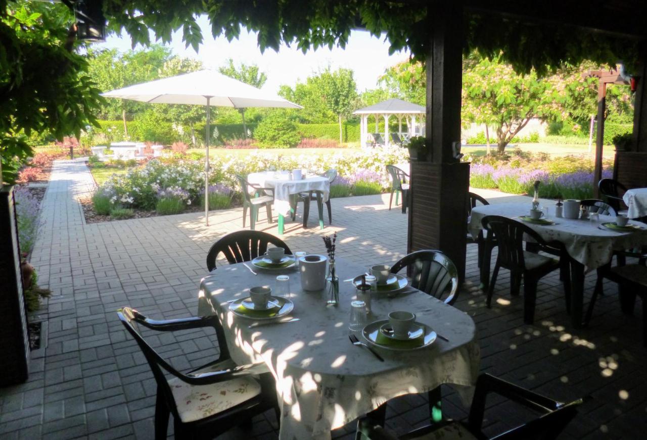 Tisza - Panzio Bed & Breakfast Tiszaderzs