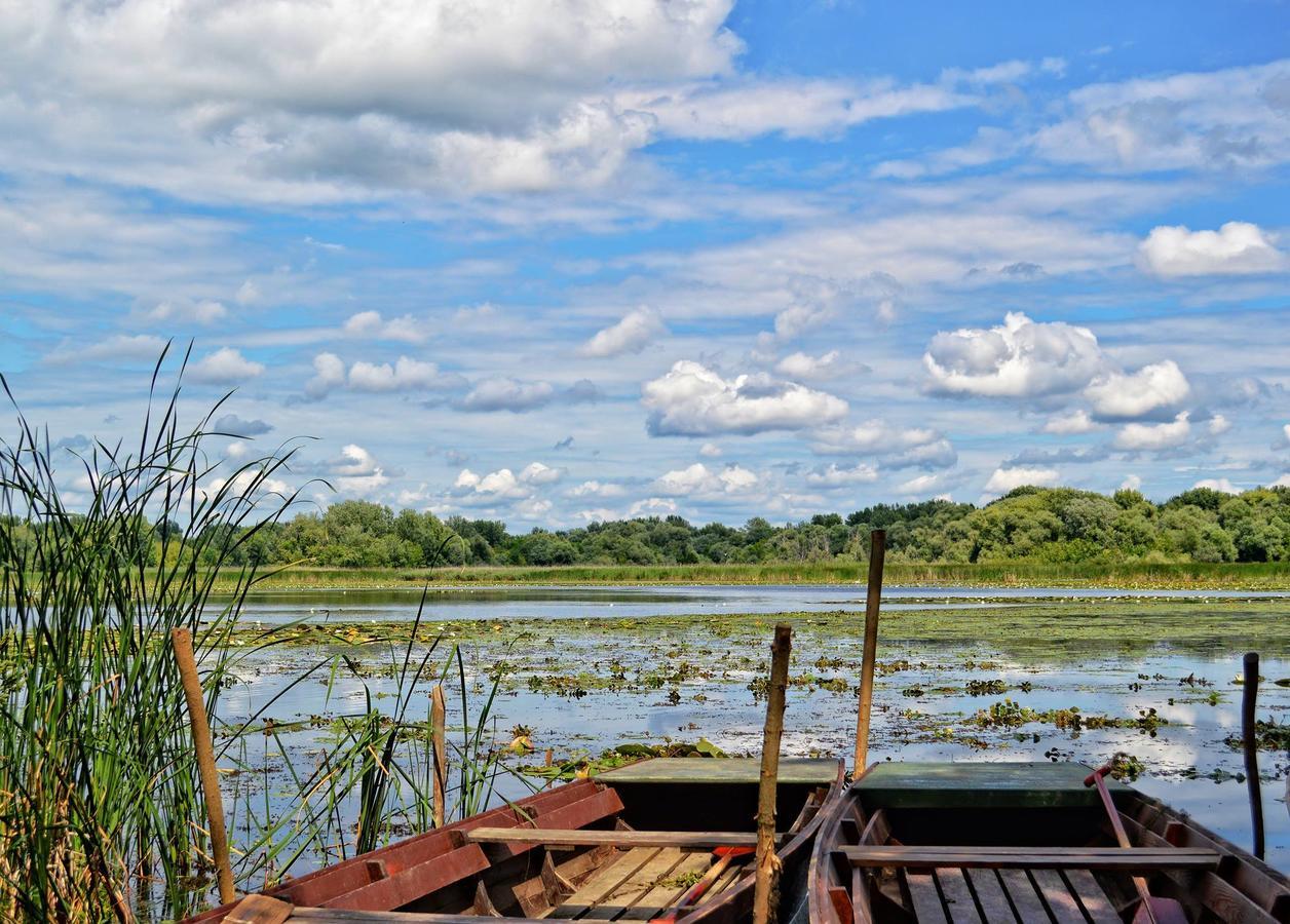 Tisza - Panzio Bed & Breakfast 3*