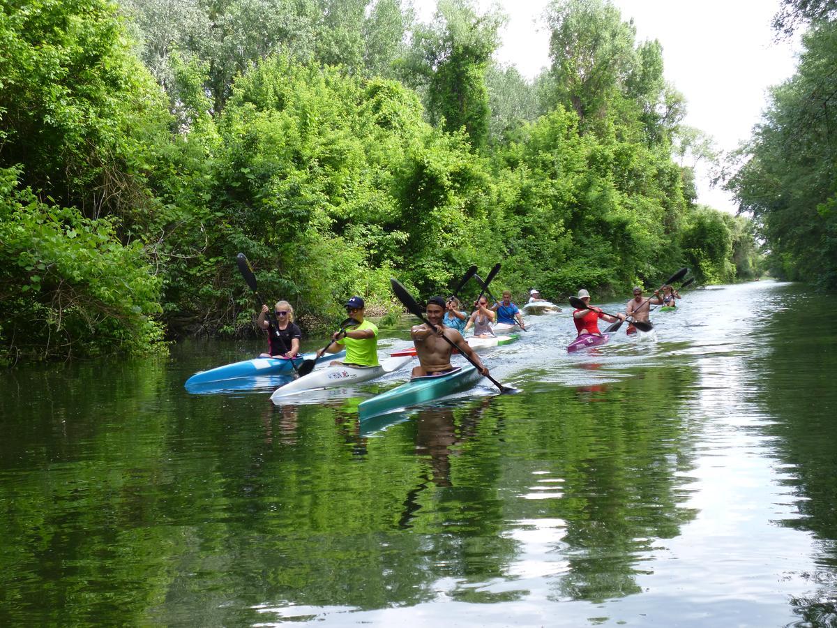Tisza - Panzio Bed & Breakfast